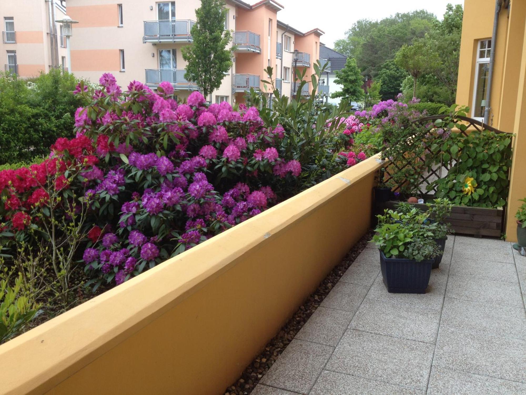 Kuehlungsborn Ferienwohnung Sonnenresidenz Ostseebad Kühlungsborn Εξωτερικό φωτογραφία